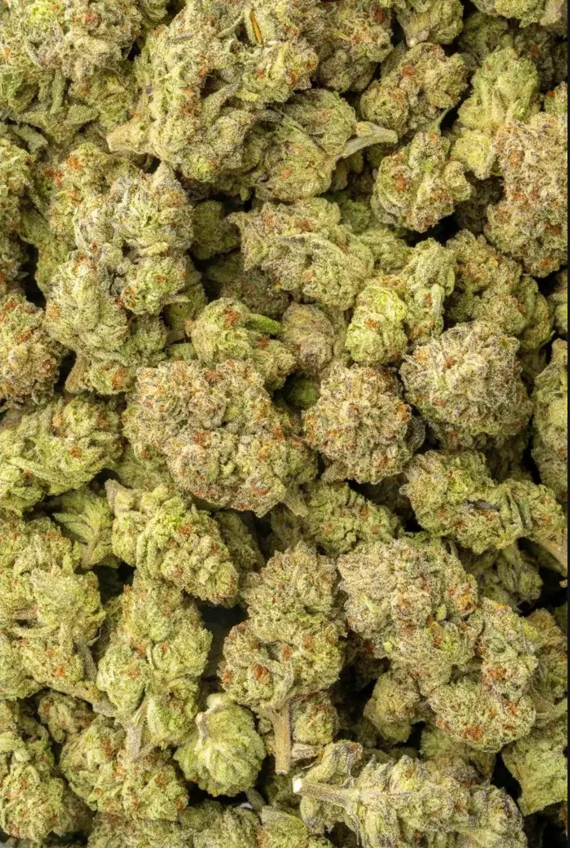 Herban Bud Exotic Hybrid THCa Flower – Candy Gas Temporary