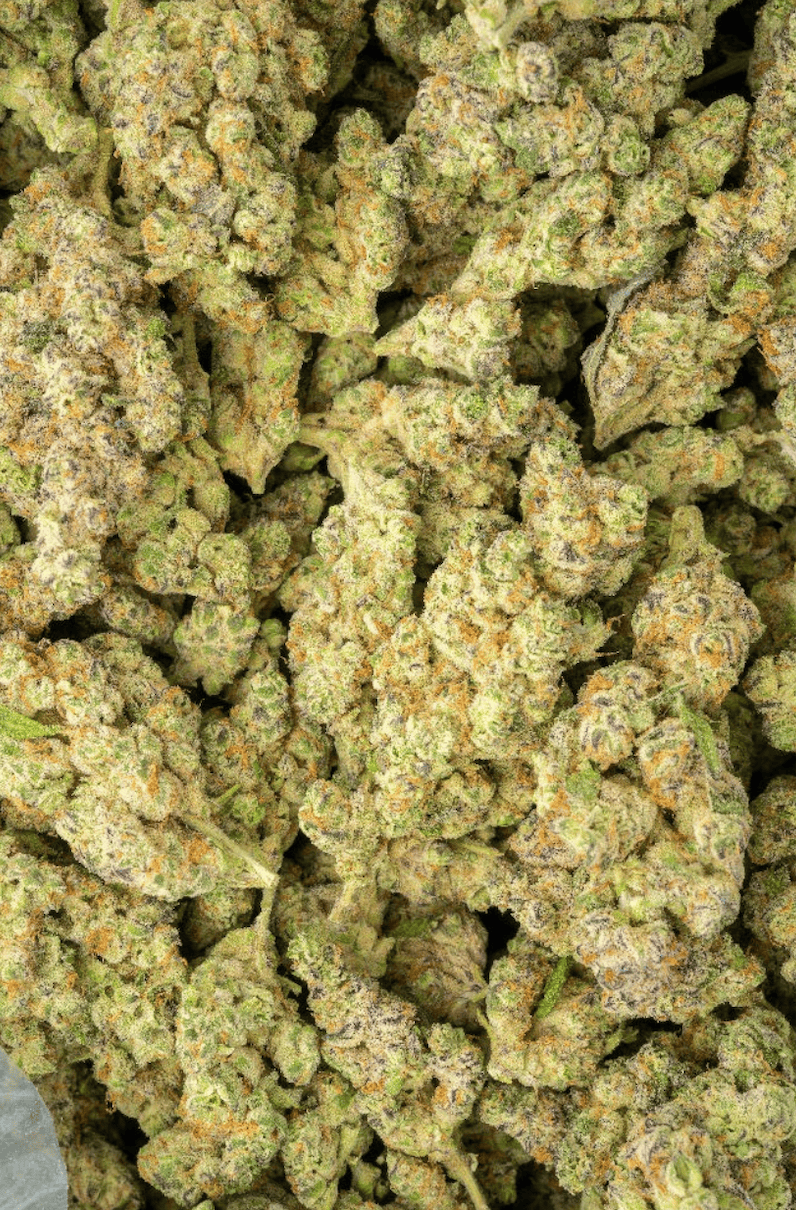 Herban Bud Exotic Hybrid THCa Flower – Chimera Junky