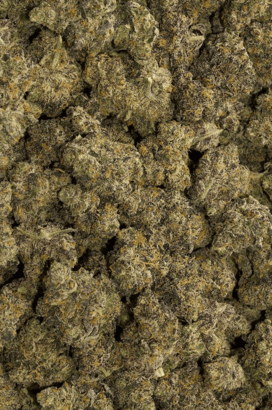 Herban Bud Exotic Indica THCa Flower – Gelato Gush Mints