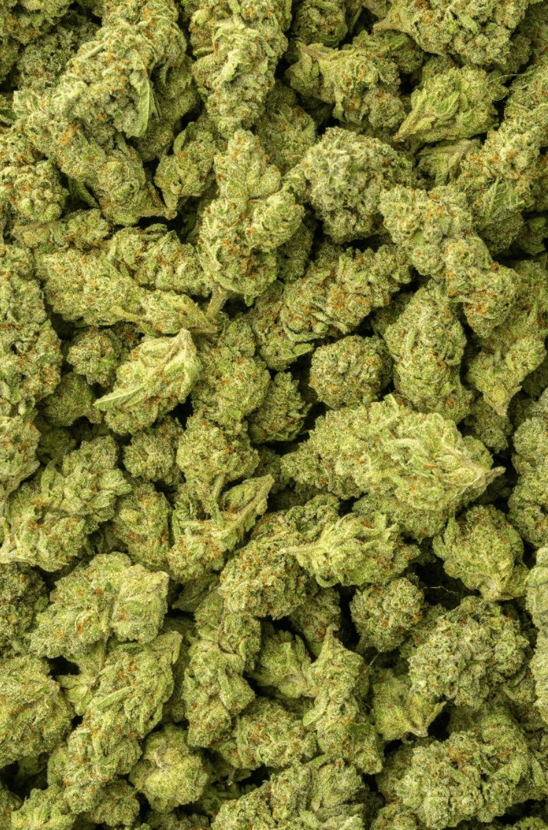 Herban Bud Premium Hybrid THCa Flower – High Society