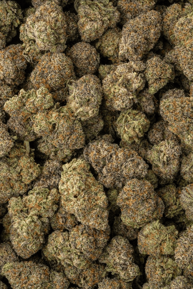 Herban Bud Exotic Sativa THCa Flower – Kali Mist