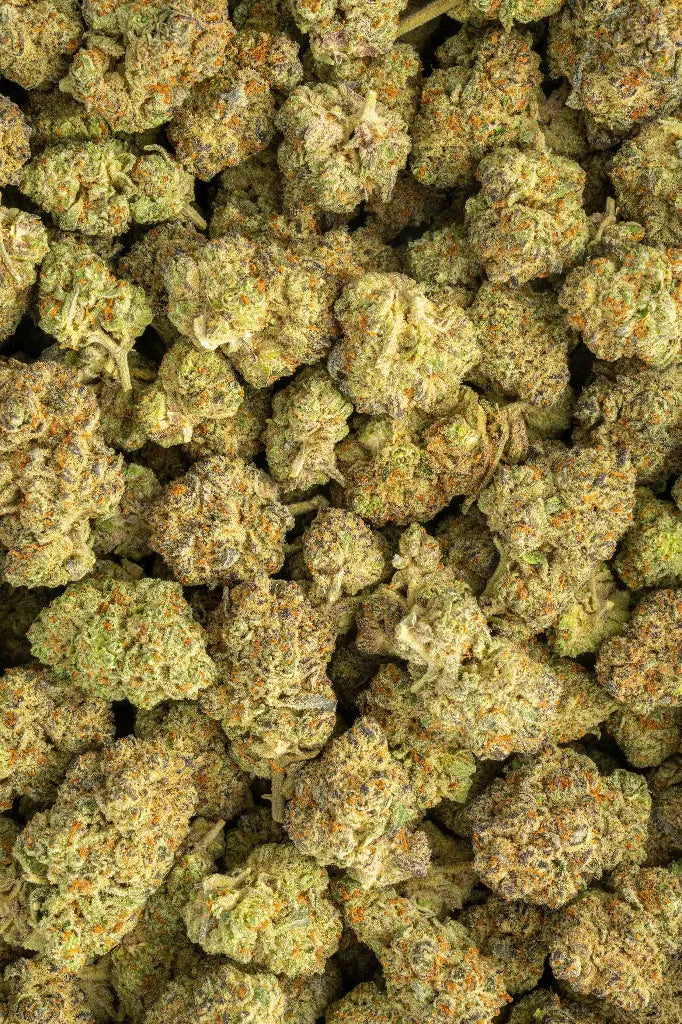 Herban Bud Exotic Indica THCa Flower – La Bomba