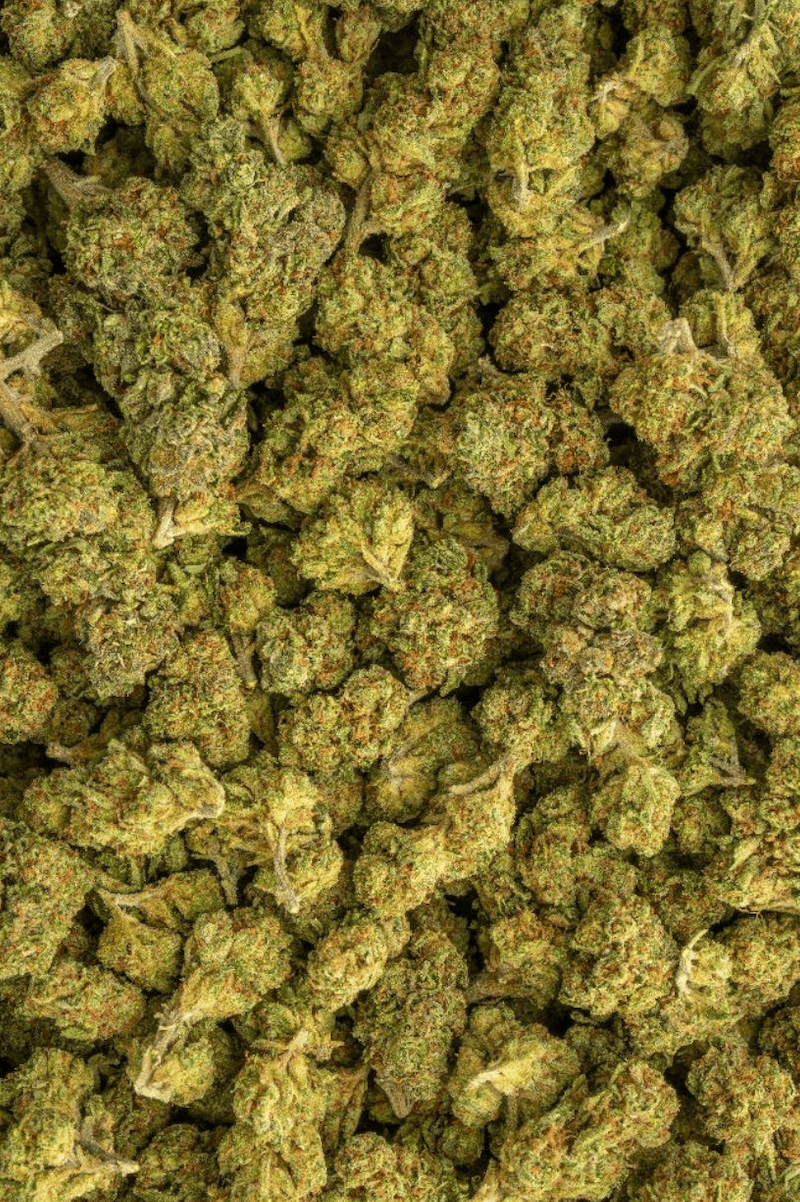 Herban Bud Premium Sativa THCa Flower – Nimbus Snacks