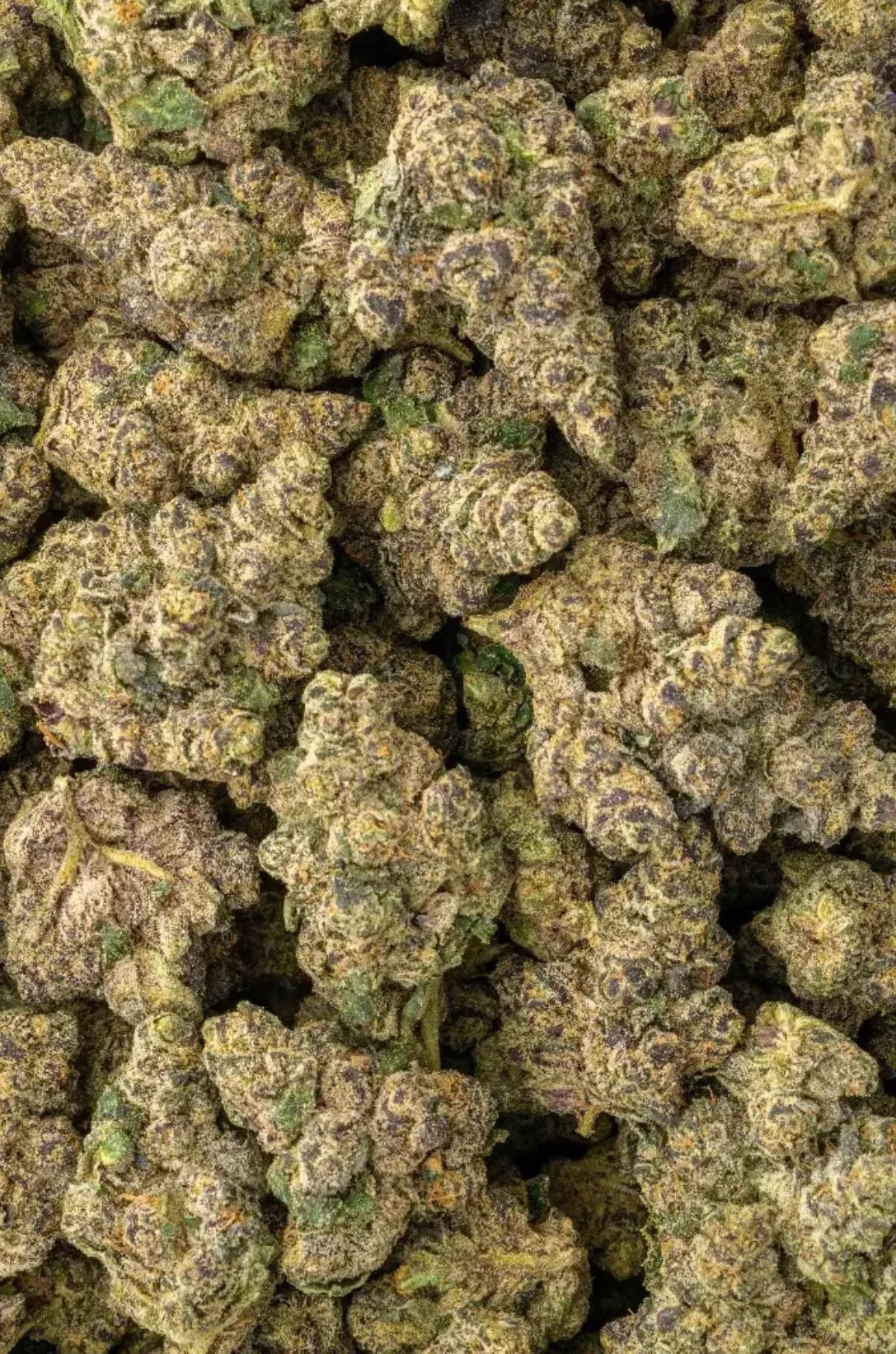 Herban Bud Exotic Hybrid THCa Flower – Pink Runtz