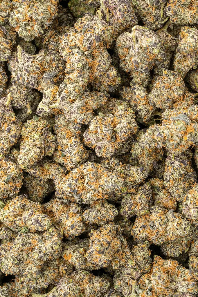 Herban Bud Exotic Sativa THCa Flower – Poison Party