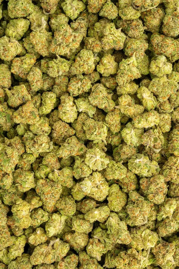 Herban Bud Premium Hybrid THCa Flower – Star Fighter