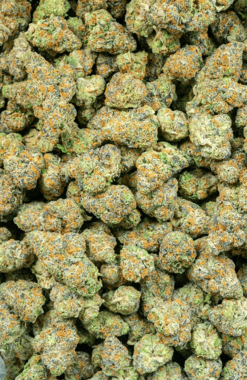 QP Quarter Pound THCa Sampler Bundle – Lows & Mids | Seed-Free