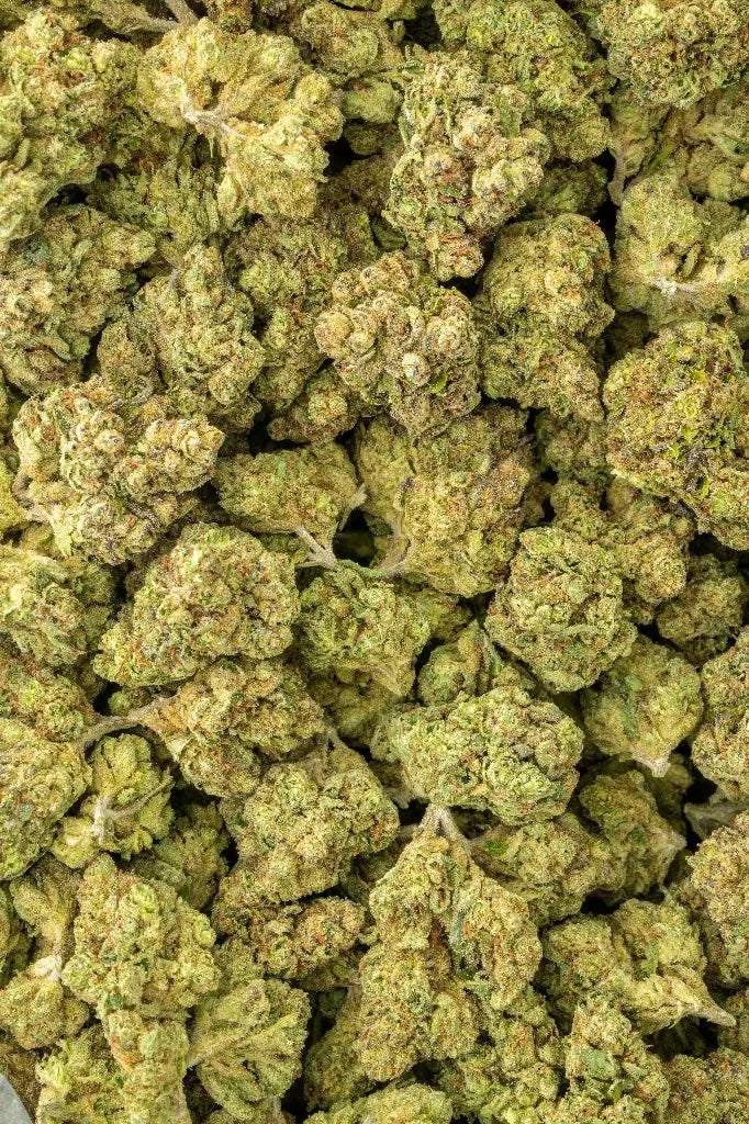 QP Quarter Pound THCa Sampler Bundle – Lows & Mids | Seed-Free – View 2